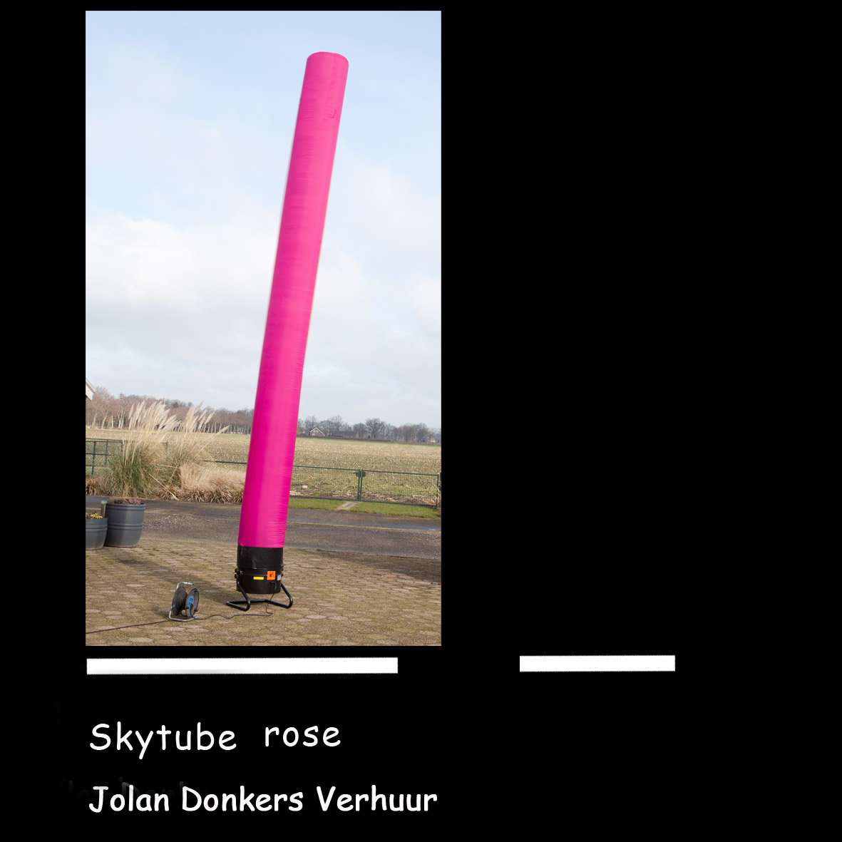 skytube rose 1